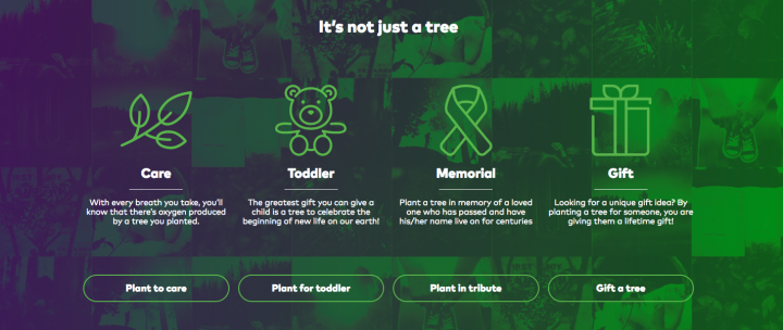 Treepex 2