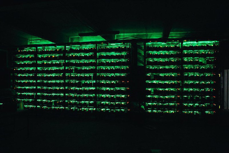 bitcoin