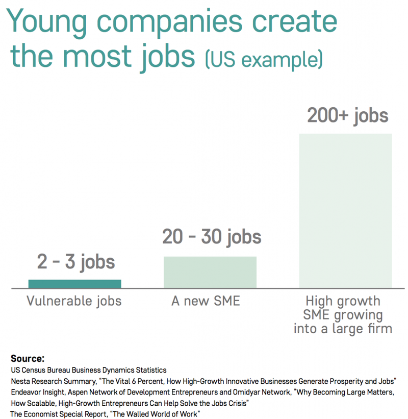 Young companies